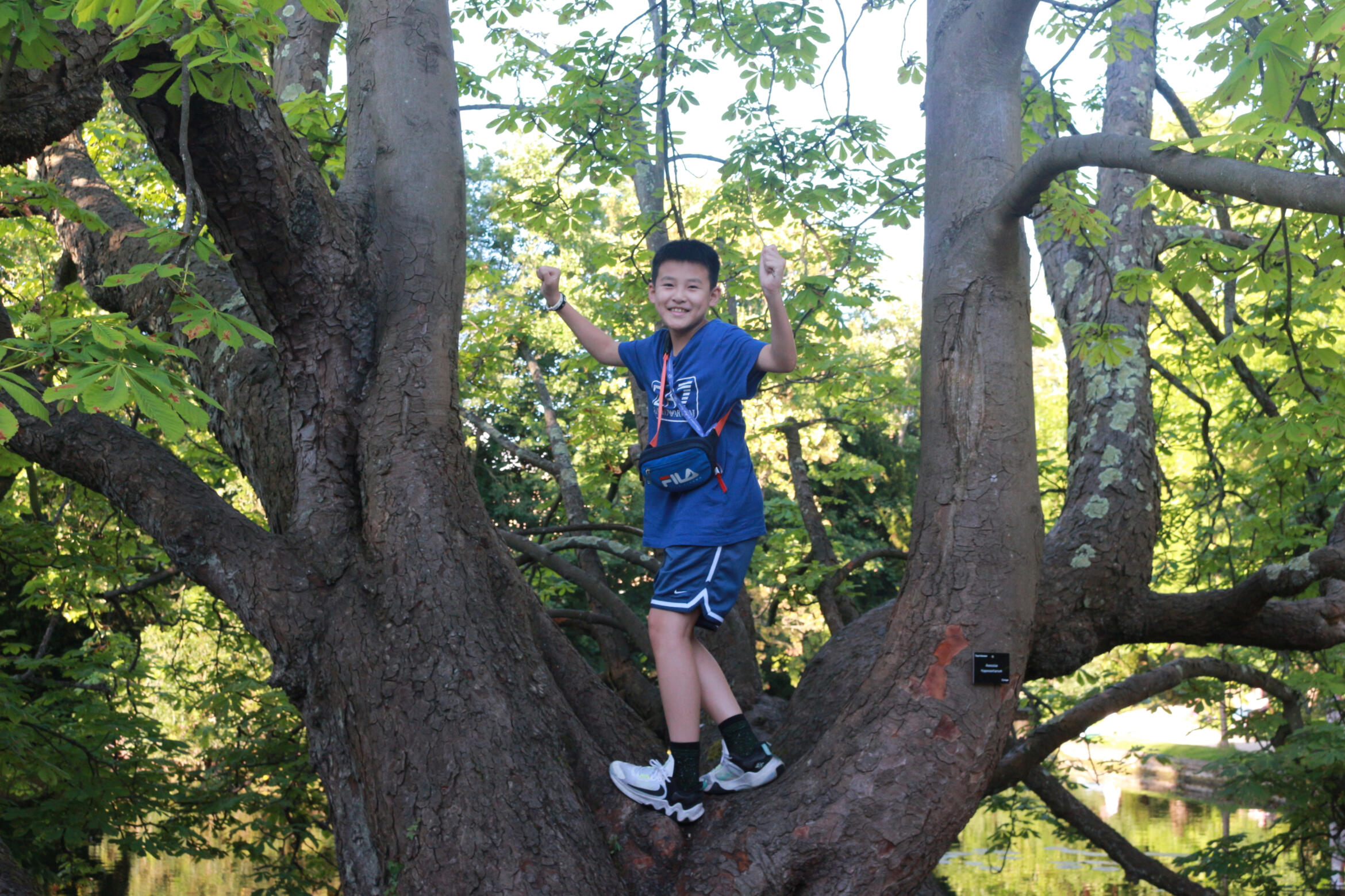 A boy on a tree and smiling.